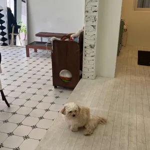 아워츄 리뷰 사진