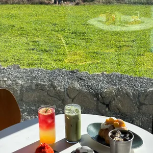 소색채본 사진 2