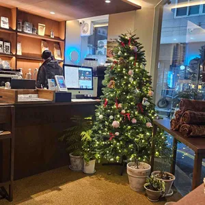 웰로우 리뷰 사진