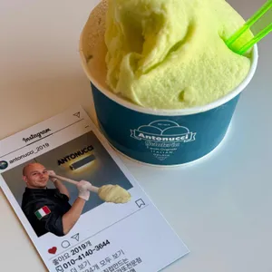 안토누찌 대표 사진