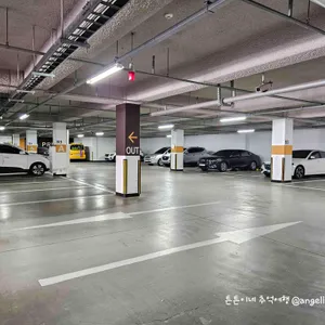 스시아오 리뷰 사진