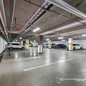 스시아오 리뷰 사진