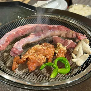 부산갈매기 사진