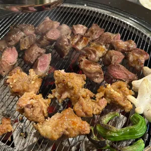 부산갈매기 사진