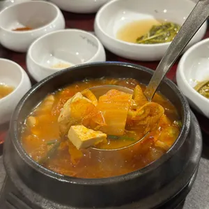 부산갈매기 사진