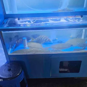 만개횟집 리뷰 사진