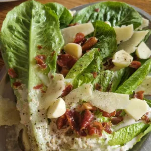 꽁티드툴레아 사진