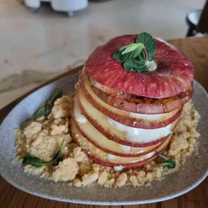 꽁티드툴레아 사진