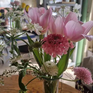 꽁티드툴레아 리뷰 사진