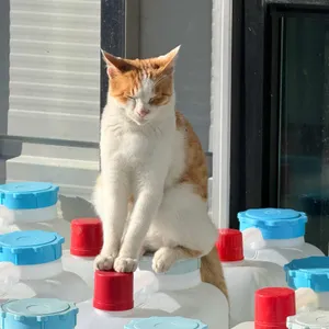 동화가든 리뷰 사진