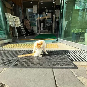 동화가든 리뷰 사진