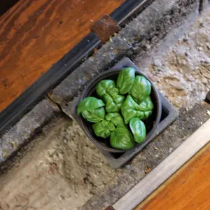 금손1983 리뷰 사진