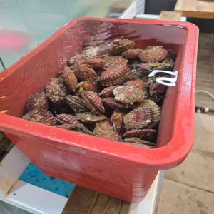 대왕조개구이 사진