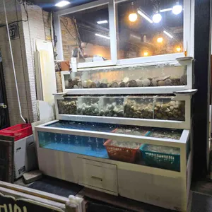 대왕조개구이 리뷰 사진