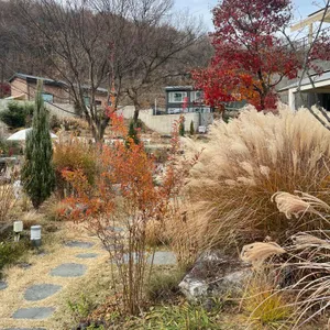 피콕그린 리뷰 사진