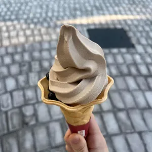 공차 대표 사진