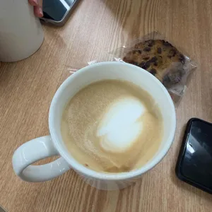 반코디 대표 사진