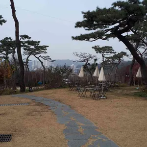 키스톤 스피시즈 리뷰 사진