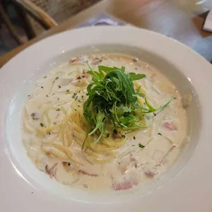 트라이아스 대표 사진