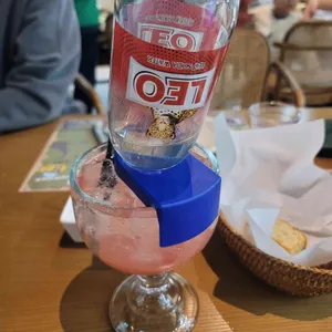 트라이아스 사진