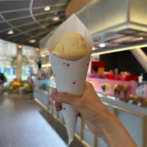 위크레페 사진 1