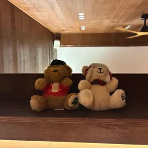 연남 리뷰 사진