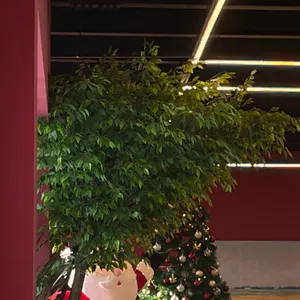 무화정 리뷰 사진