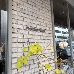 프로퍼 커피바 리뷰 사진