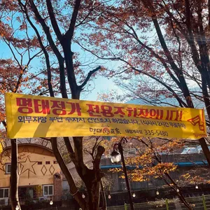 명태정가 리뷰 사진