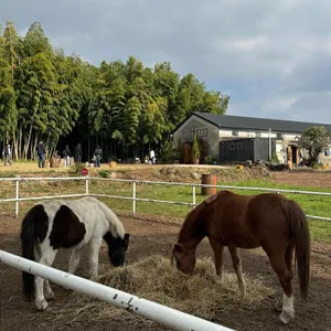 대한목장 사진 1