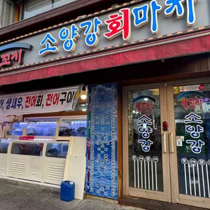 소양강회마차 리뷰 사진