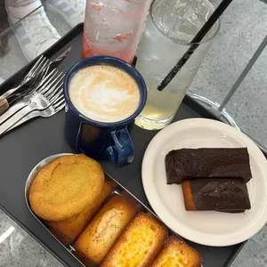 피버로스터스 사진