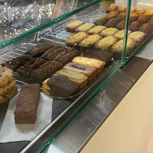 피버로스터스 사진