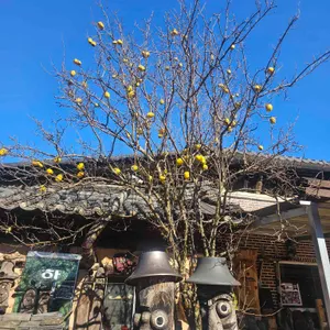 목석원가든 리뷰 사진