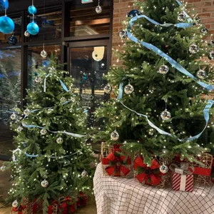 테이스티 가든 리뷰 사진