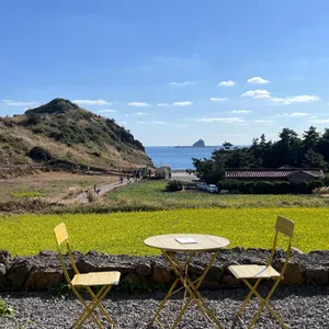 소색채본 사진 1