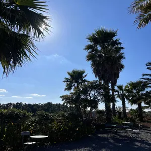 소색채본 리뷰 사진