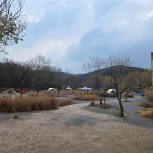 빌리앤오티스 리뷰 사진