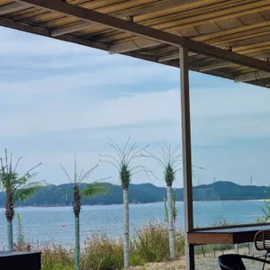 포리뉴 리뷰 사진