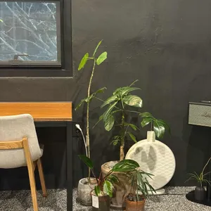 딥샷로스터스 리뷰 사진