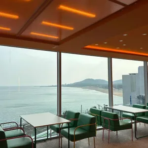 러블랑 댕댕파크&레스토랑 리뷰 사진