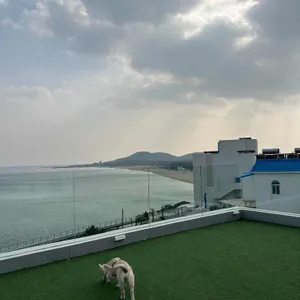 러블랑 댕댕파크&레스토랑 사진 1