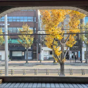 삐에드라 리뷰 사진