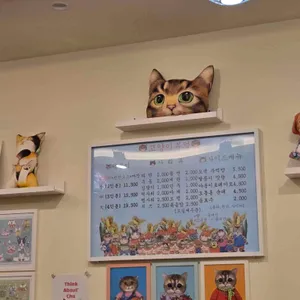 고양이부엌 리뷰 사진