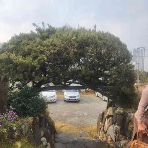 카페 에이프릴 리뷰 사진