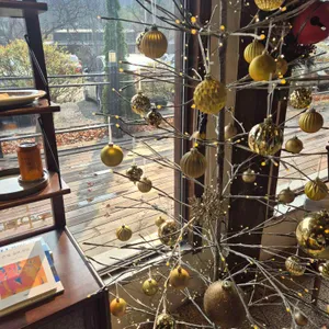 피아나 리뷰 사진