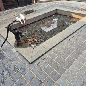 피아나 리뷰 사진