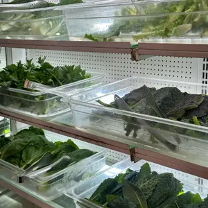 빨간의자집 사진