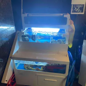 무허가포차 리뷰 사진