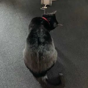 프로젝트엑스 대표 사진